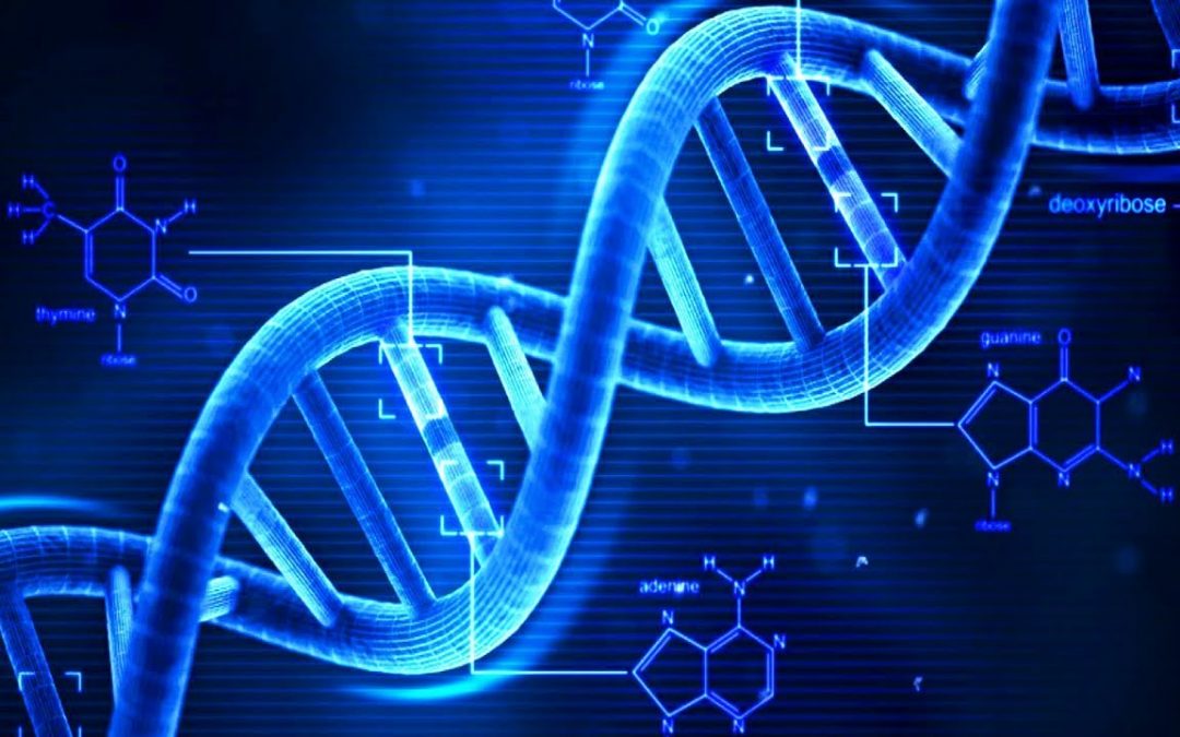 DNA – Coded Information at the Core of our Cells